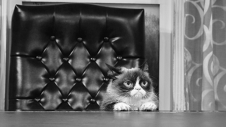 I Have Accepted That the #ChallengeAccepted Challenge Is the Ultimate Empty Challenge